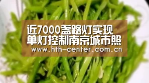 近7000盏路灯实现单灯控制南京城市照明光环境智能化进入新阶段-华体会体育(图2) 华体会体育