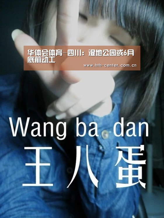 华体会体育