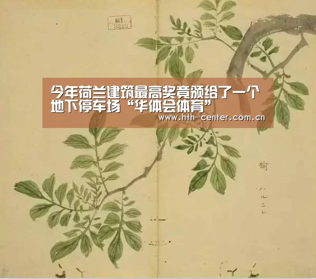 今年荷兰建筑最高奖竟颁给了一个地下停车场“华体会体育”(图1) 华体会体育